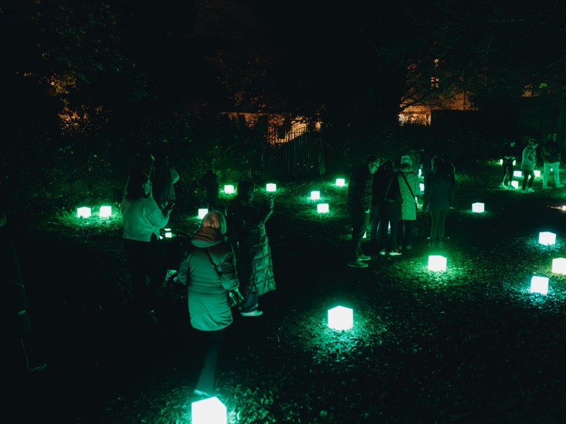 Exhibition image from Light Up 2024
